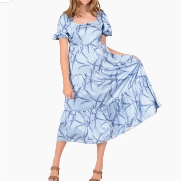 NWT EMILY MCCARTHY Blue Daphne PHEASANT PARTY Dress Sz S - Picture 3 of 16